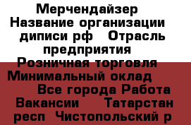 Мерчендайзер › Название организации ­ диписи.рф › Отрасль предприятия ­ Розничная торговля › Минимальный оклад ­ 25 000 - Все города Работа » Вакансии   . Татарстан респ.,Чистопольский р-н